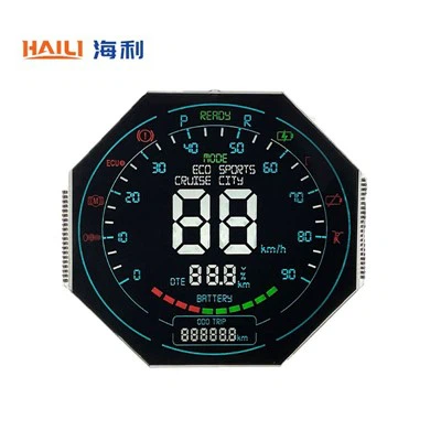 Segmento LCD display per veicoli